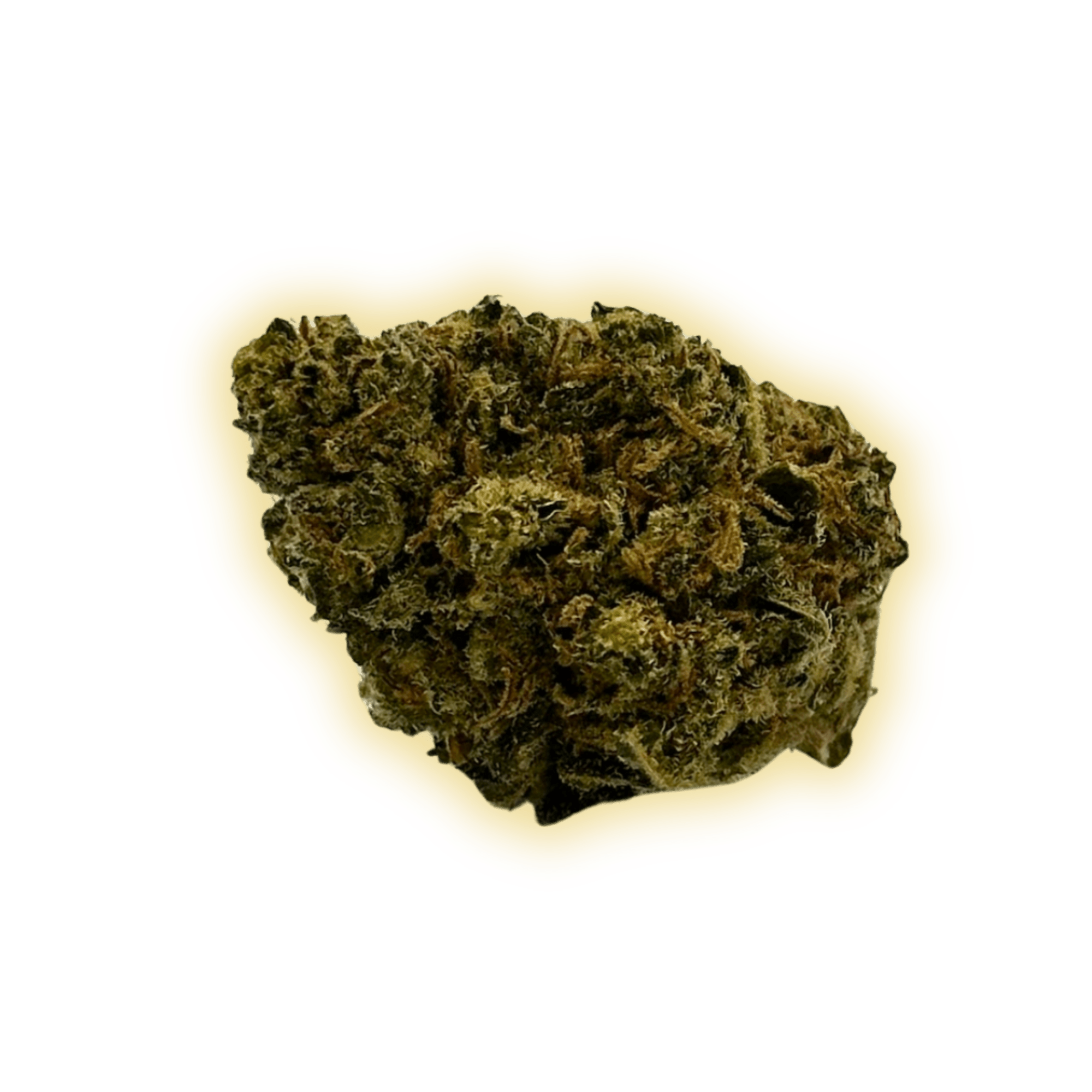 Blueberry Cookies CBN+ CBN+ Blüten kaufen - Golden Leaf Culture