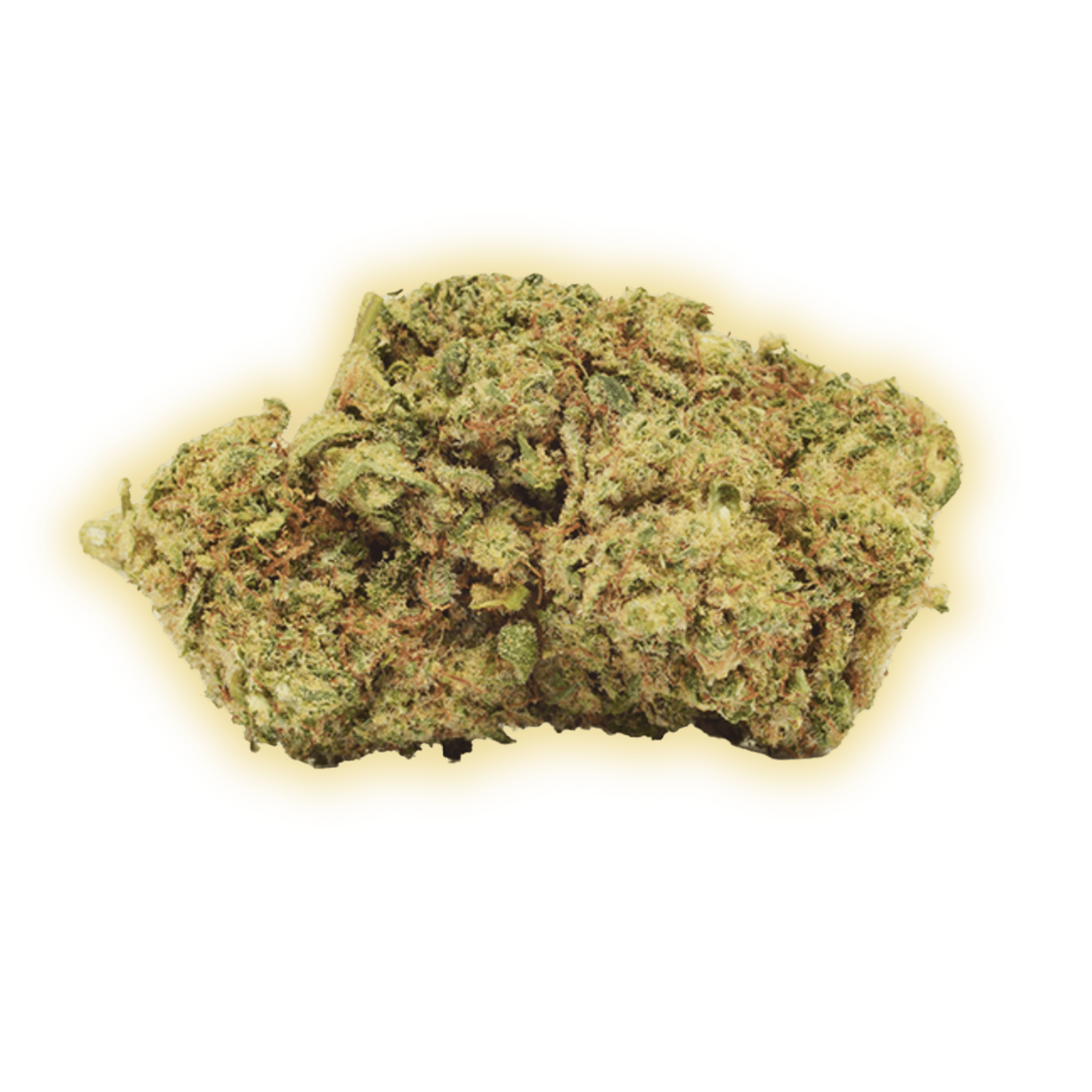 Gelato CBD CBD Blüten kaufen - Golden Leaf Culture