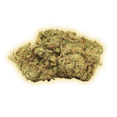 Gelato CBD CBD Blüten kaufen - Golden Leaf Culture