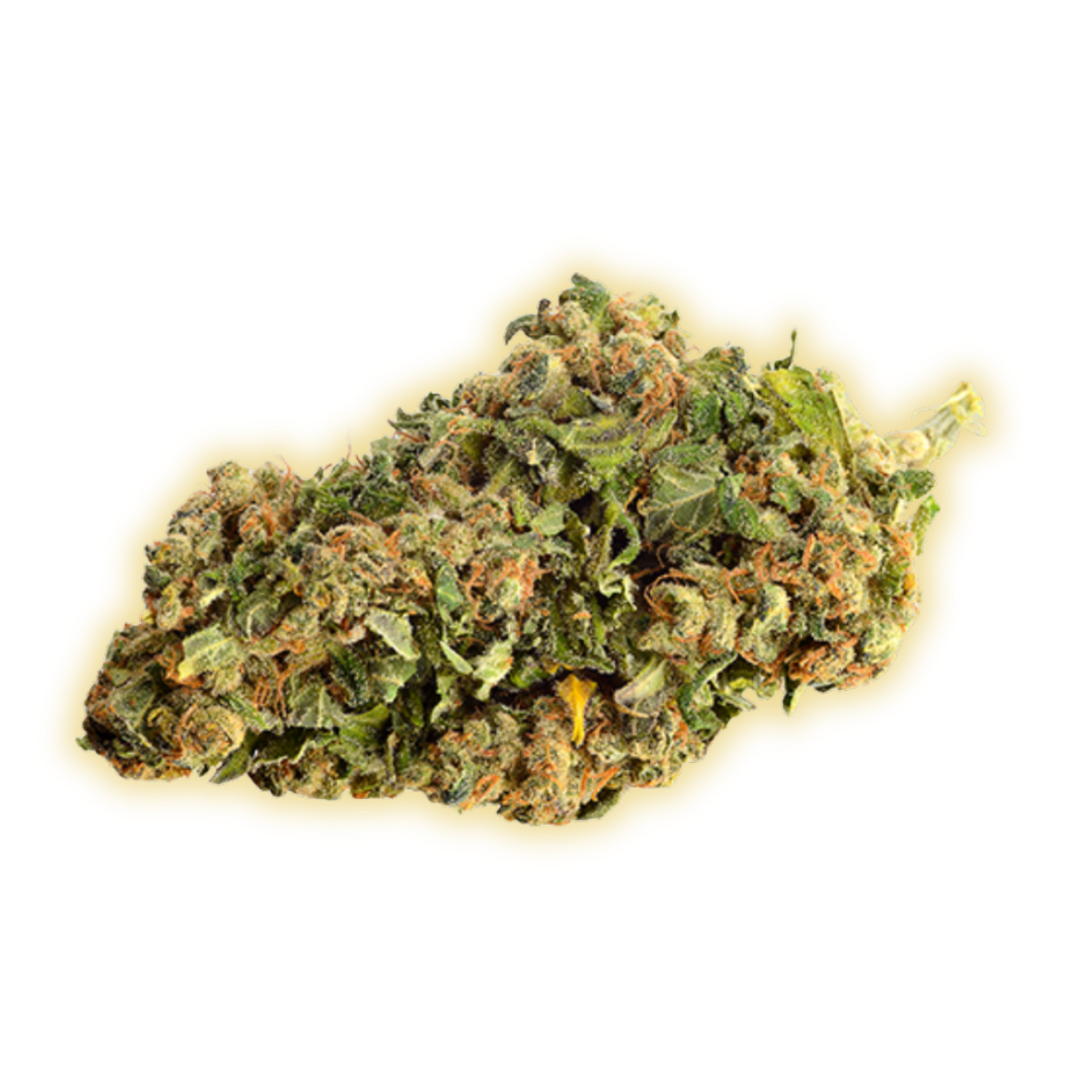 Gorilla Glue CBD CBD Blüten kaufen - Golden Leaf Culture