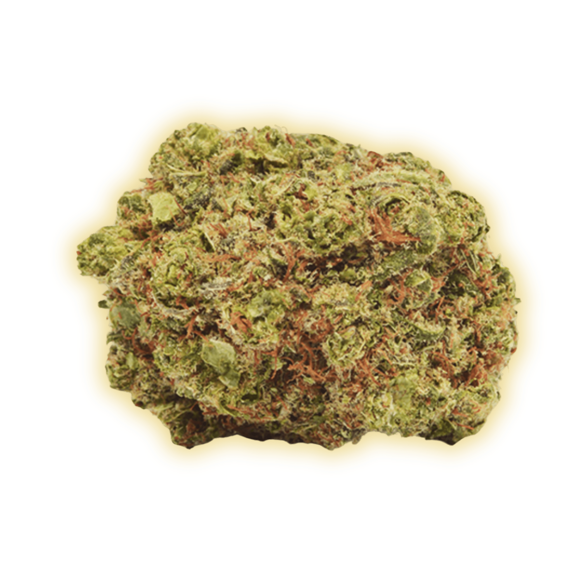 Lemon Cookies CBD CBD Blüten kaufen - Golden Leaf Culture