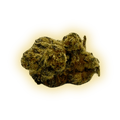 Lemon Tree CBN+ CBN+ Blüten kaufen - Golden Leaf Culture