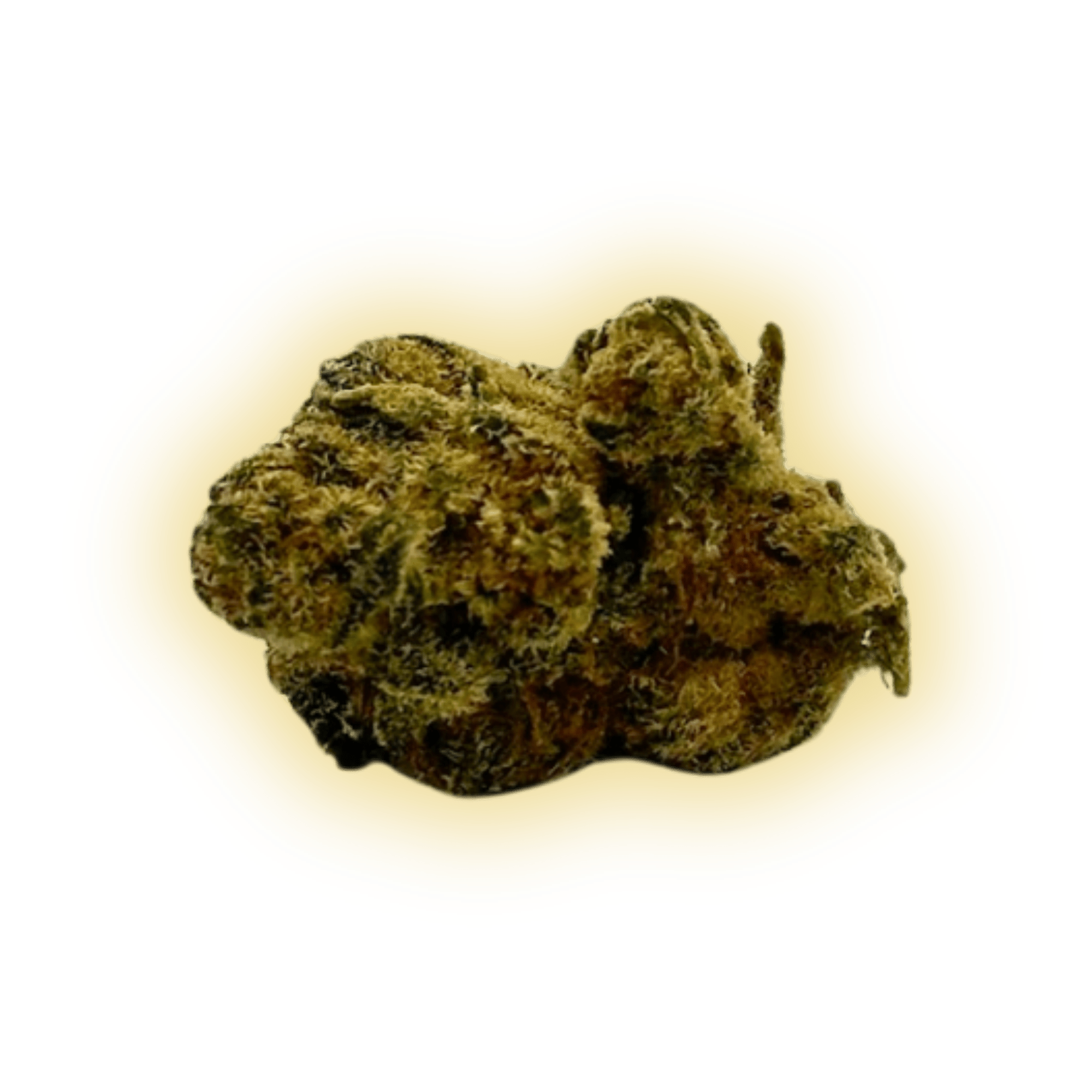 Lemon Tree CBN+ CBN+ Blüten kaufen - Golden Leaf Culture