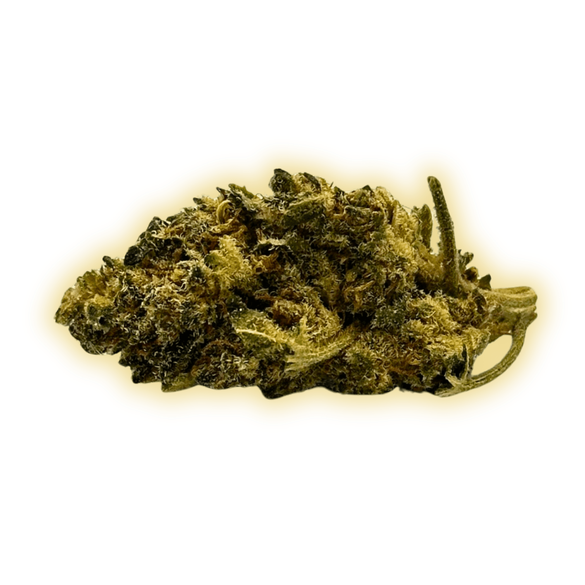 Mango Kush CBN+ CBN+ Blüten kaufen - Golden Leaf Culture