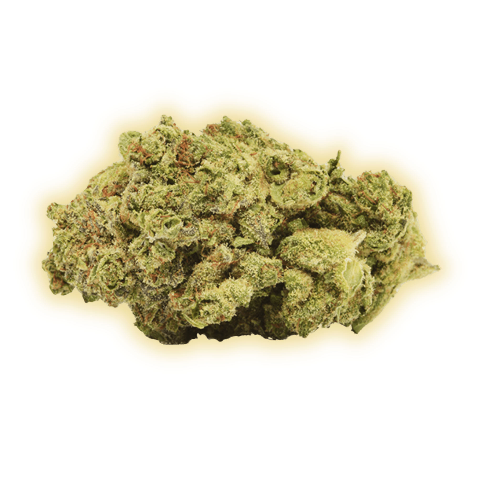 Northern Lights CBD CBD Blüten kaufen - Golden Leaf Culture