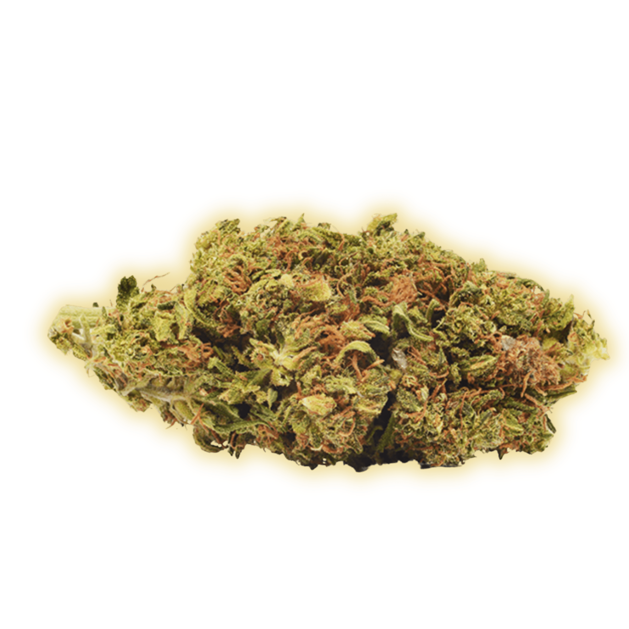 Purple Berry CBD CBD Blüten kaufen - Golden Leaf Culture