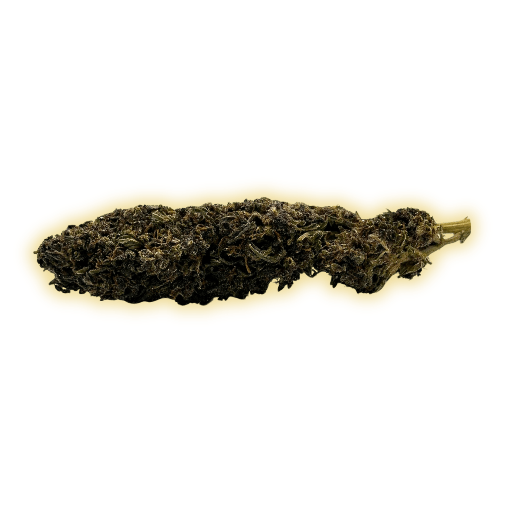 Purple Haze CBN+ CBN+ Blüten kaufen - Golden Leaf Culture